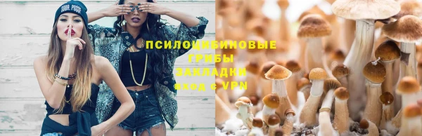 синтетический гашиш Арсеньев