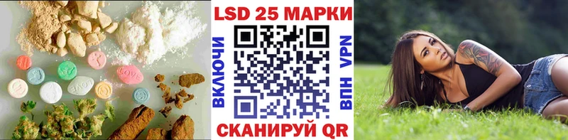 закладка Южа LSD-25 экстази ecstasy