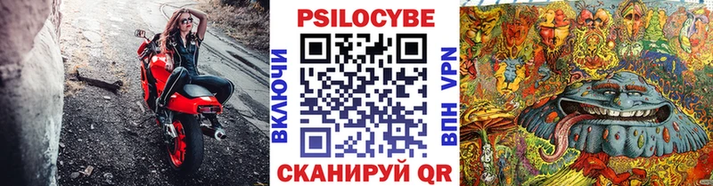 Галлюциногенные грибы Cubensis  Южа 